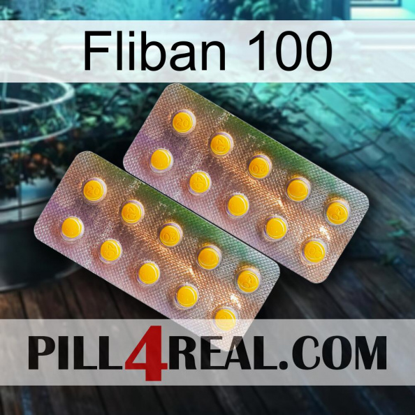 Fliban 100 new10.jpg